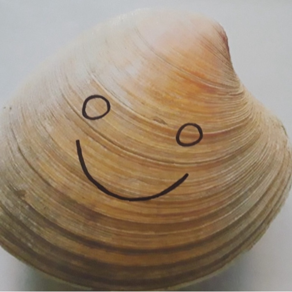 Happy Clam
